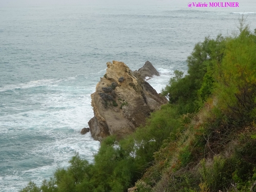 Biarritz : mes photos page 5