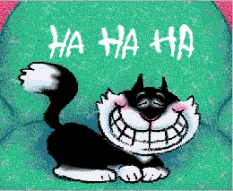 chat qui rigole