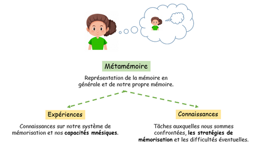 La mémorisation dans les apprentissages 