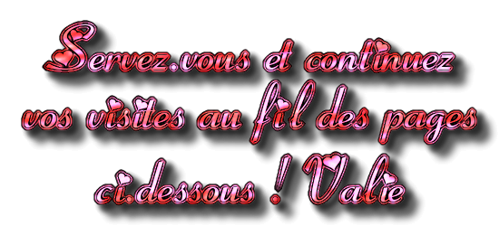 BISOUS DIVERS 11