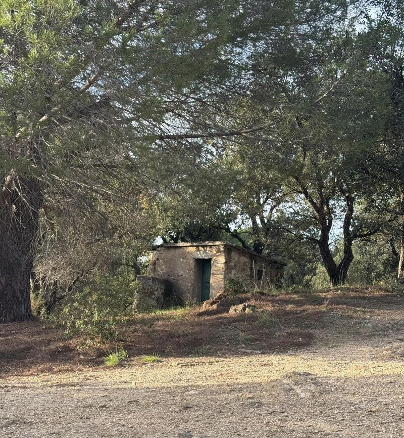 Balade vers la vallée heureuse et le four solaire à Sorède