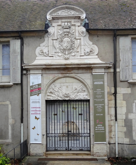 Le Museum d'Histoire Naturelle de Dijon