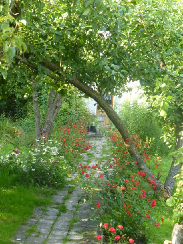   AMIENS    /     LES HORTILLONNAGES