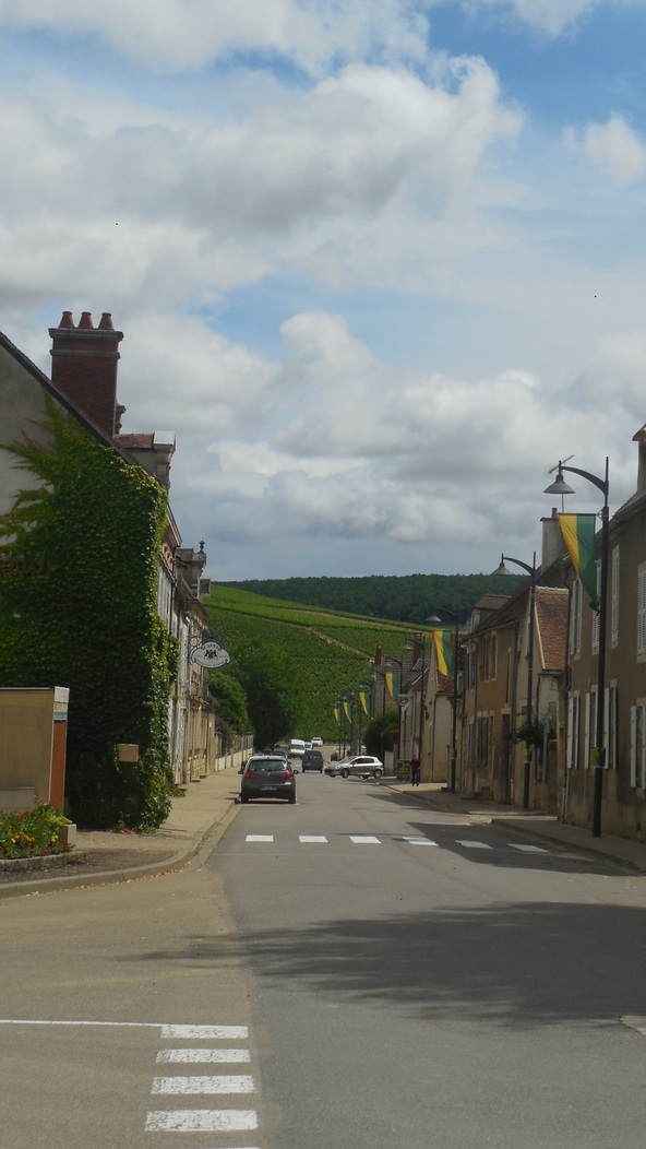 Chablis (89)