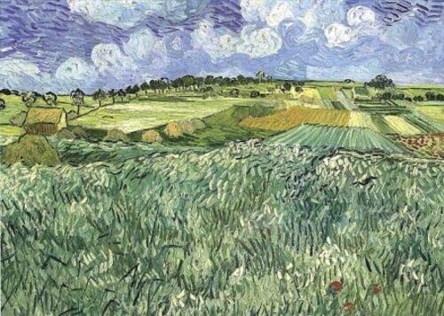 29 Juillet 1890 : Mort de Vincent Van Gogh