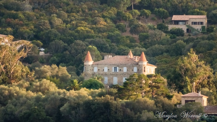 Corse : Sortie en mer 2/4