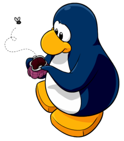Club Pingouins