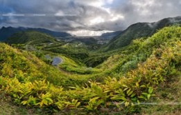 BIENVENUE A LA RÉUNION 