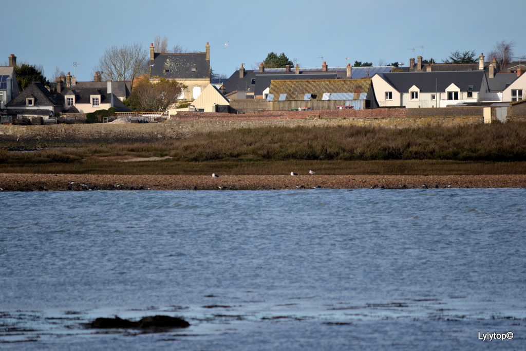 Saint Vaast La Hougue