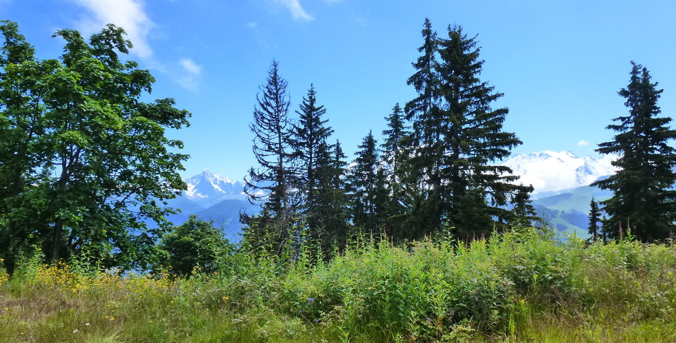 Sur les hauteurs de Combloux/Megève N°2