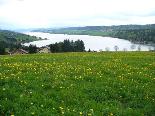 Le lac de St Point