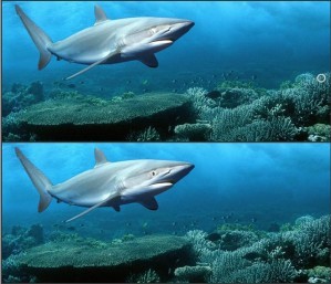 Underwater differences