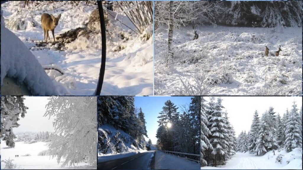 Les Vosges enneigées