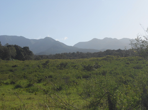 La grande rivière Goyave