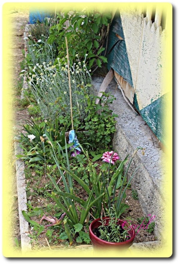 Côté jardin, ça pousse !