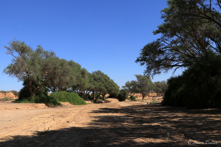 Trek dans le Damaraland