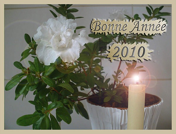 Bonne Année 2010 bis