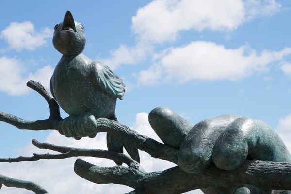 Le chat déambule sur les quais de Bordeaux (5)