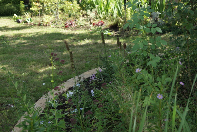 Le jardin mi-septembre.