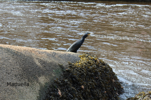 Ballade au Finistère 