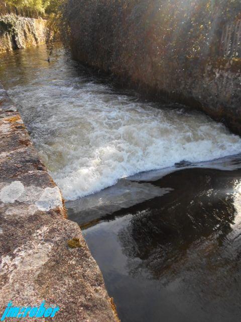 Balade printanière sur les bords de Vienne (2)