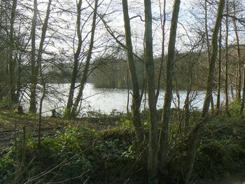 Le tour de Ferrières