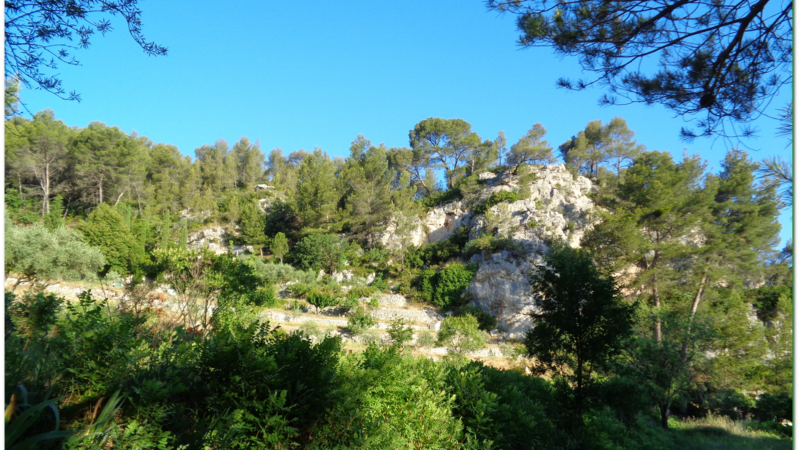 Découverte provençale