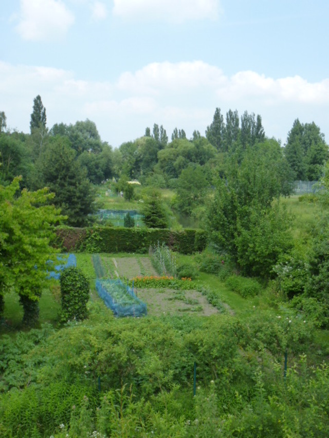   AMIENS    /     LES HORTILLONNAGES