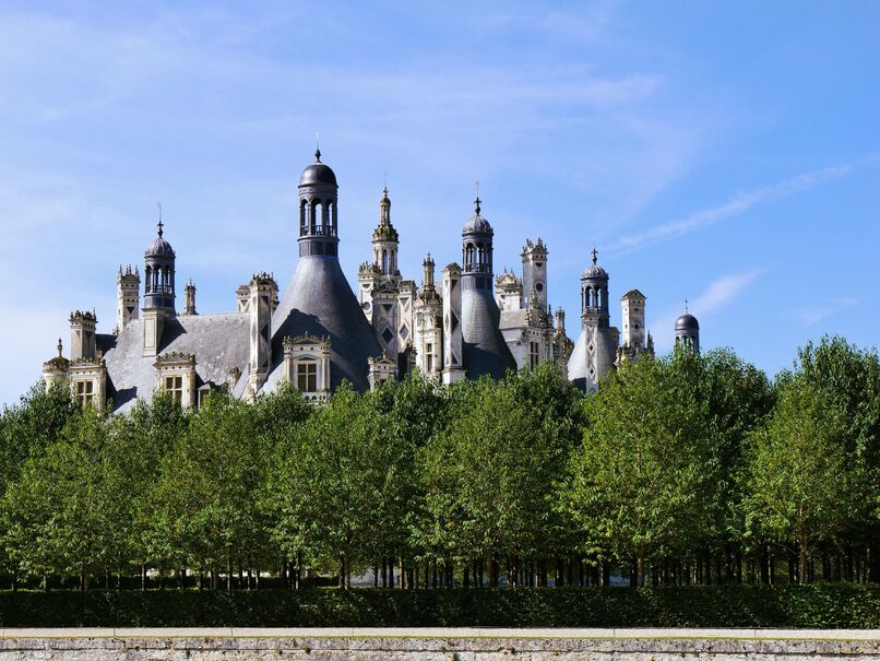 2024.08.06 Parc château de Chambord (département Loir et Cher)