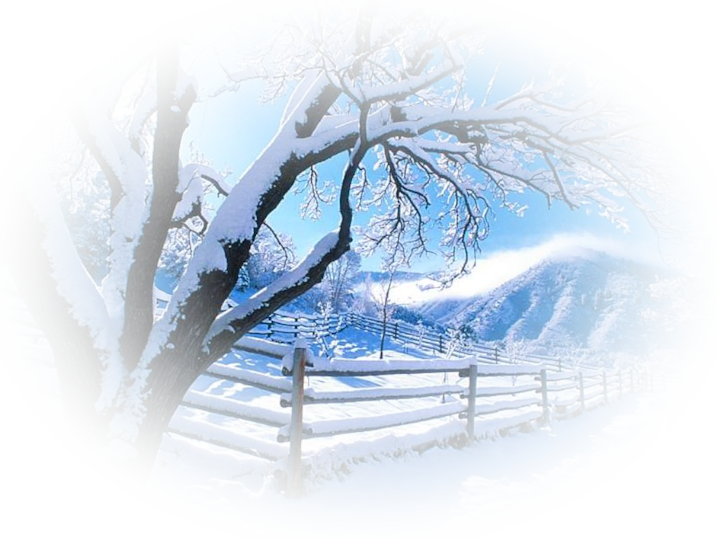 TUBES PNG FONDS HIVER