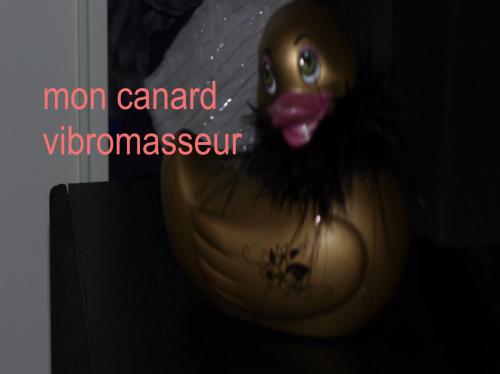 le canard vibromasseur 