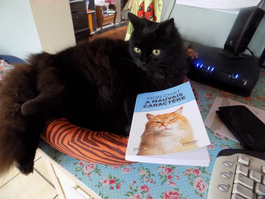 Mon chat a mauvais caractère, un livre indispensable!