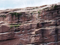 The cliff part