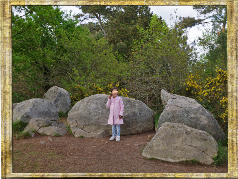 56340 Carnac Allignement de Menhirs