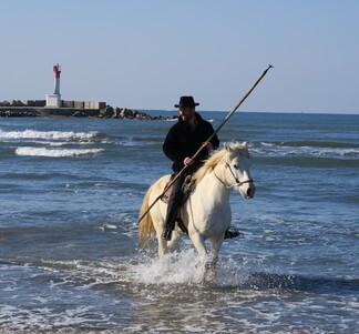 LA  CAMARGUE