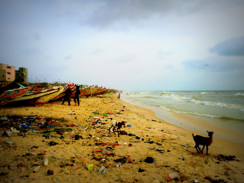 Sénégal: Langue de Barbarie