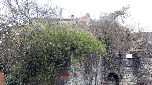Séverac le Château  (Aveyron)