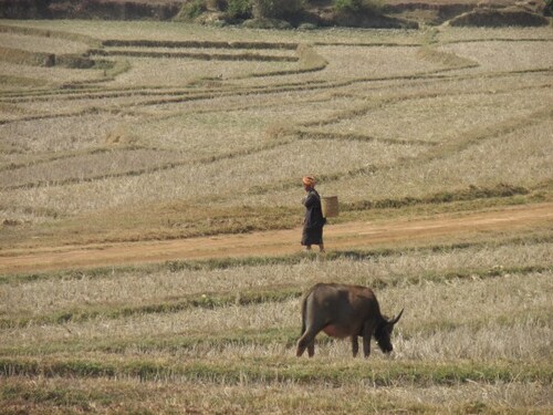 Lac Inle