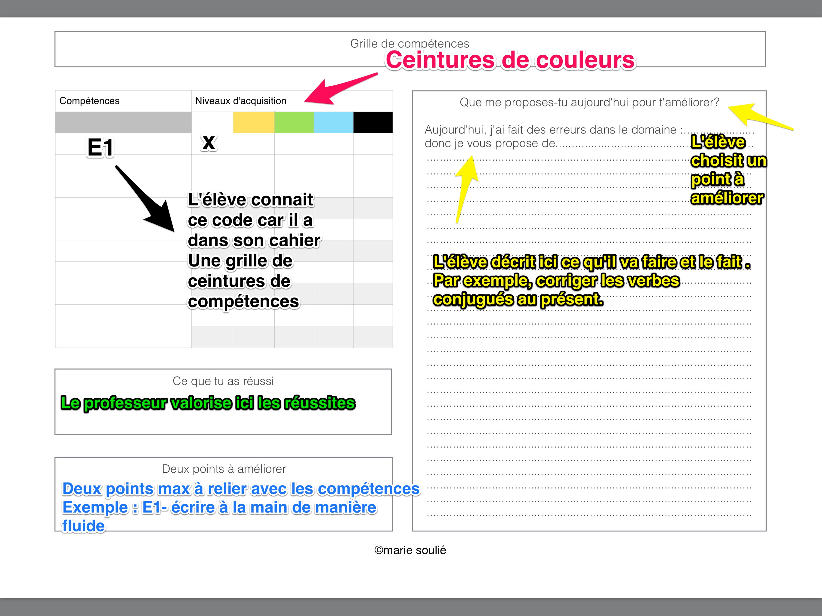 Coupon copie pour évaluation par ceintures - IPAD en cours de français