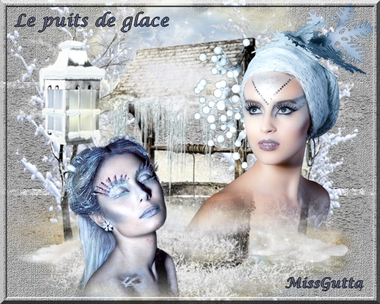 Pour amie Capucine le puits de glace ,