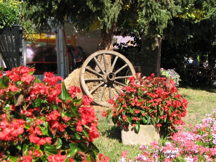 Sundgau : Bernwiller “Altabürafascht”