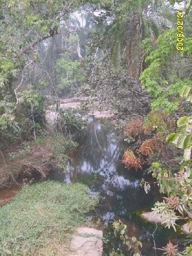 Togo Forêt tropicale !!