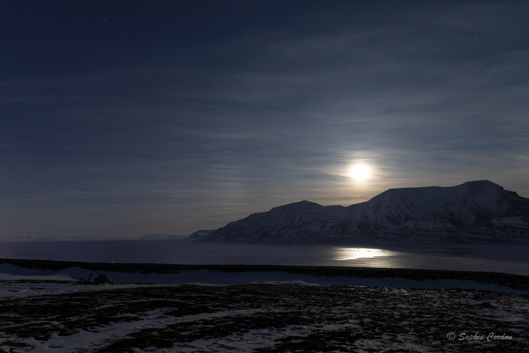 Longyearbyen by "day"
