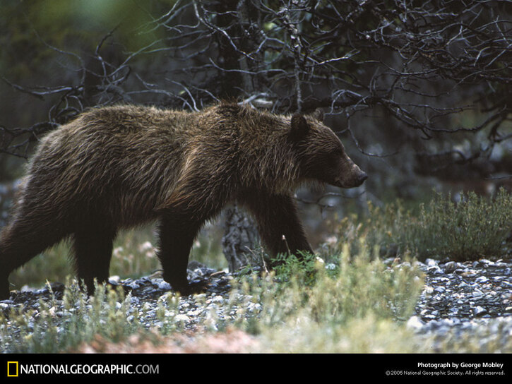 10 Images de Natl. Geographic 3