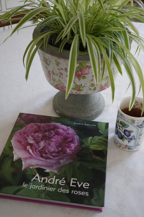 André Eve, le jardinier des roses