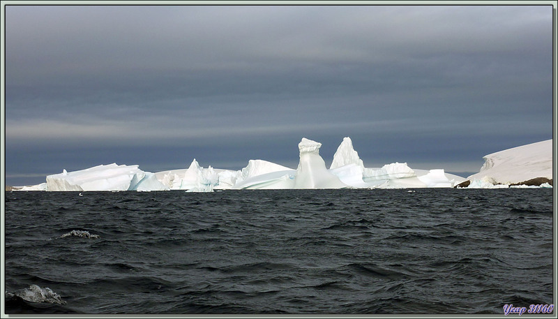Dès notre embarquement pour rejoindre Pleneau Island, nous naviguons au milieu des icebergs - Péninsule Antarctique