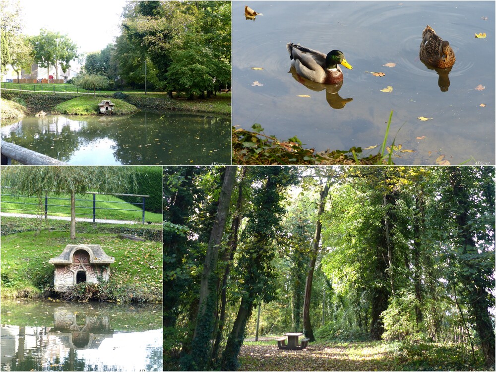 Amiens au fil de mes promenades