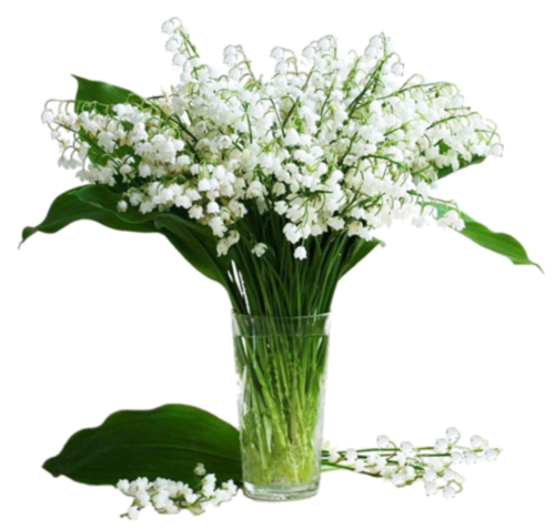 Composition  florale (  muguet )