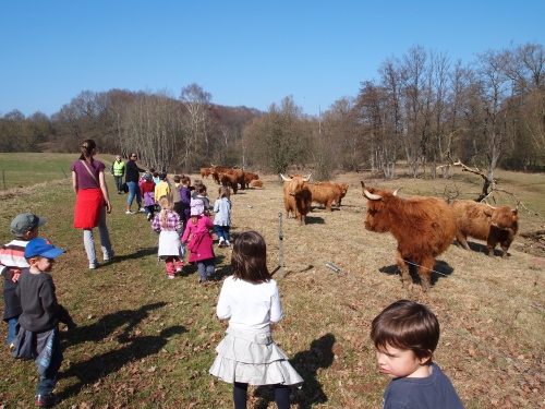 Un petit tour au rucher