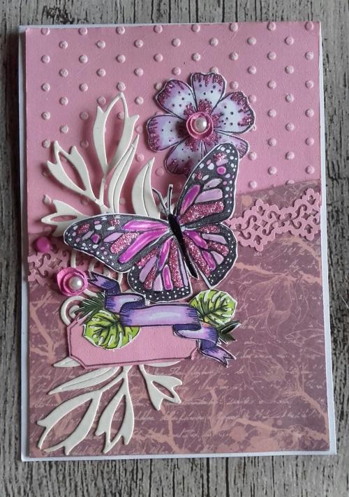 Scrap- Tag et carteries diverses